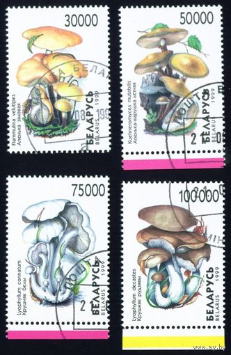 Грибы Беларусь 1999 год (341-344) серия из 4-х марок