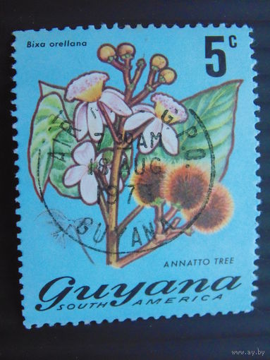 Гайана. Цветы.
