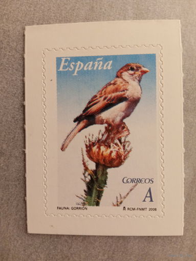 Испания 2006. Фауна. Птицы