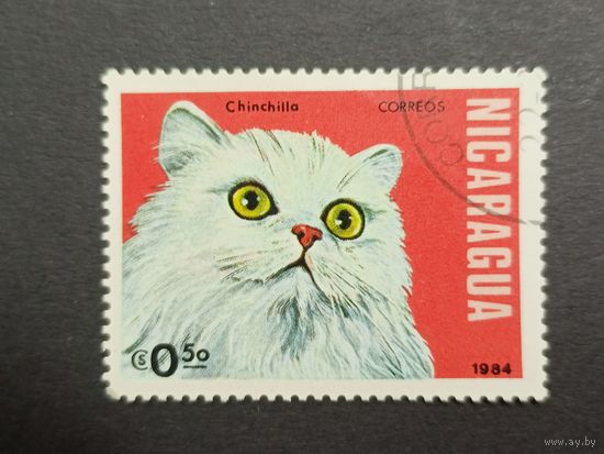 Никарагуа 1984. Коты