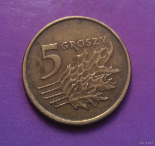 5 грошей 1991 Польша #08