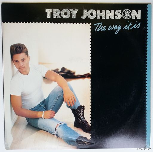 12" Troy Johnson - The Way It Is (1989) Promo,
