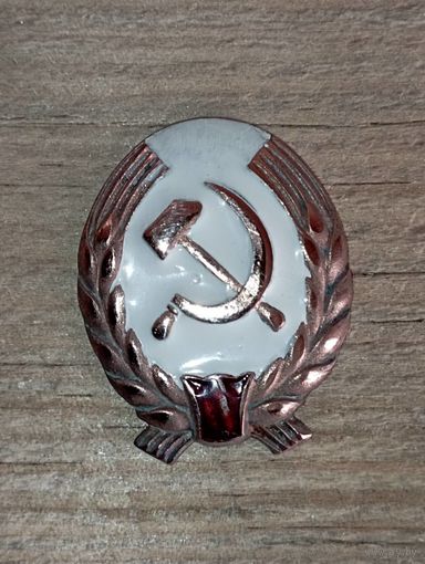 Знак на головной убор оперативно- административного состава ГУ лагерей НКВД,1936 г.