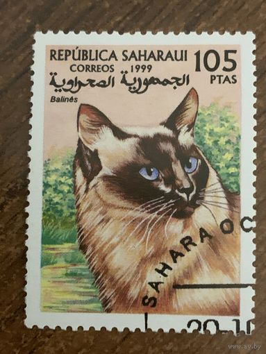Сахара 1999. Породы кошек. Balines. Марка из серии