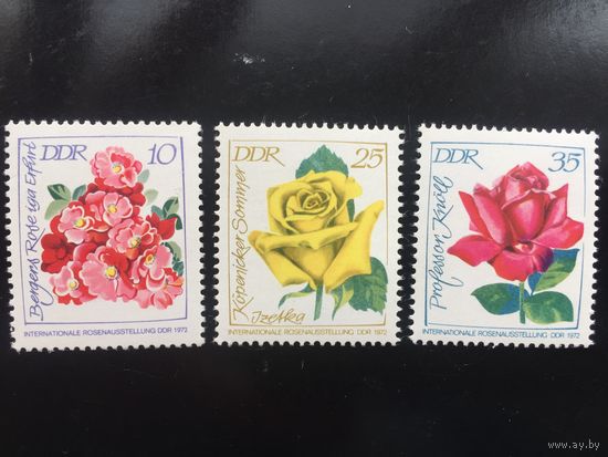 ГДР 1972 год. Розы