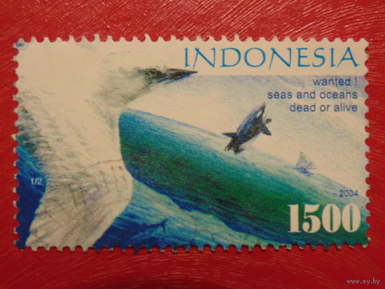 Индонезия 2004г. Птицы