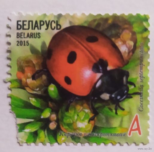 Беларусь 2015, жучок