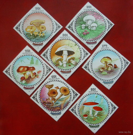 Монголия. Грибы. ( 7 марок ) 1985 года.