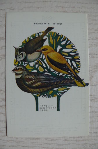 Календарик, 1985, Берегите птиц! Птицы - защитники леса.