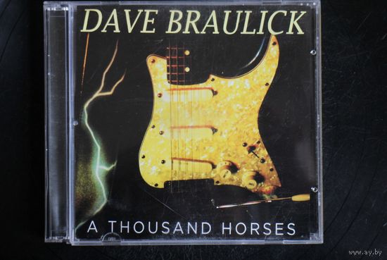 Dave Braulick – A Thousand Horses (2013, CD)