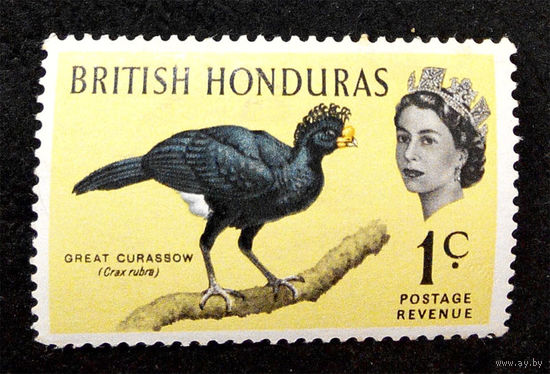 Британский Гондурас 1962 г. Птицы. Фауна, 1 марка. Чистая #0075-Ч1P5