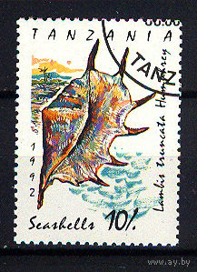 1992 Танзания. Ракушка