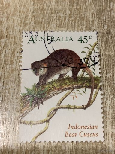 Австралия. Фауна. Indonesian Bear Cuscus. Марка из серии