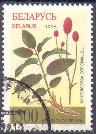 Беларусь 1996 флора лекарственные растения
