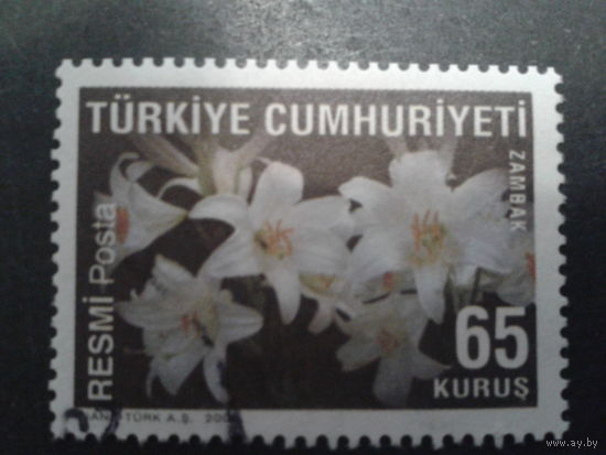 Турция 2009 цветы