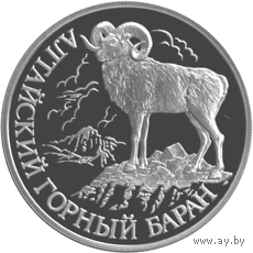 Красная книга: Алтайский горный баран