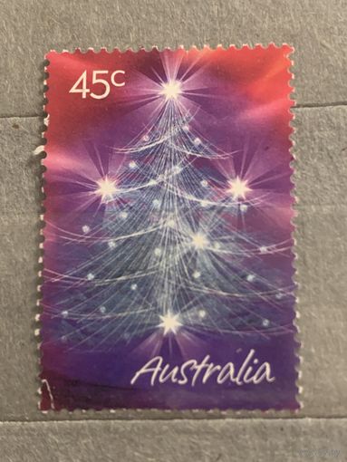 Австралия. Новогодняя елка