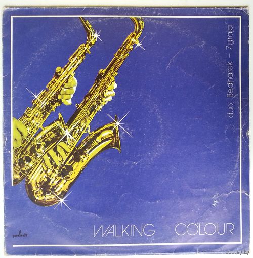 LP Duo Bednarek-Zgraja – Walking Colour (1981) Free Jazz, Contemporary Jazz