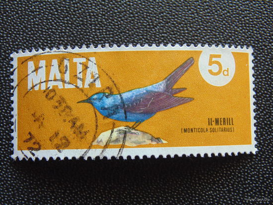Мальта 1972 г. Птица.