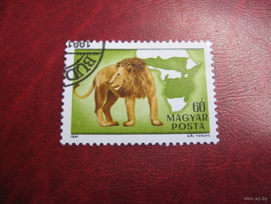Марка Лев. Африканская фауна 1981 год Венгрия