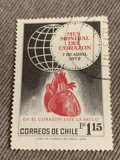 Чили 1972. Симпозиум трансплантологов. Полная серия
