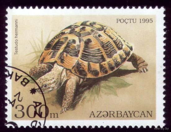 1 марка 1995 год Азербайджан Черепаха 227