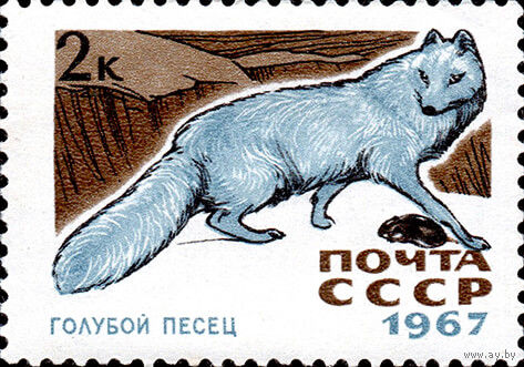 Пушные звери Голубой песец СССР 1967 год 1 марка