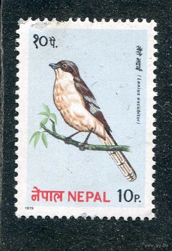 Непал. Фауна. Птицы