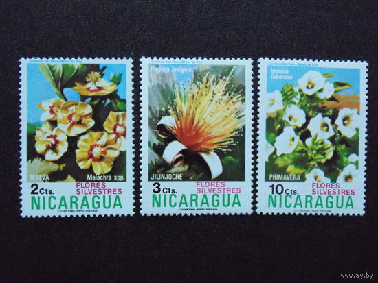 Никарагуа.  Флора.