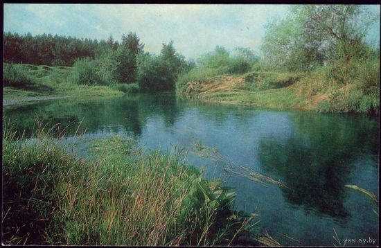 1980 год Орша Река Оршица