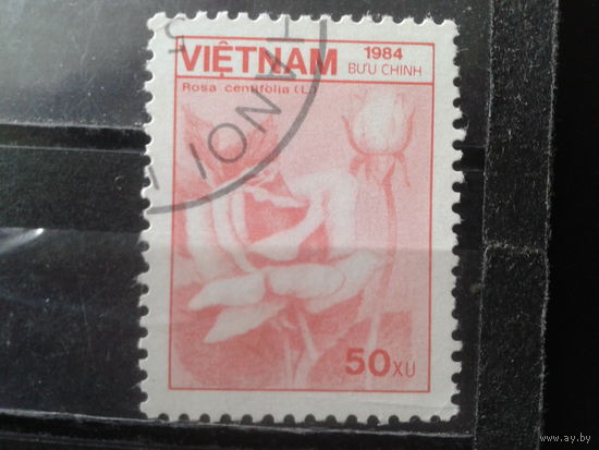 Вьетнам 1984 Стандарт, розы