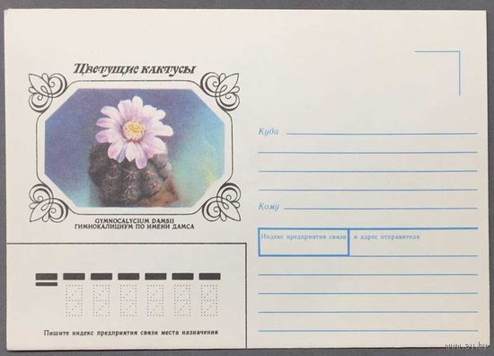 ХК СССР 1990г Цветущие кактусы
