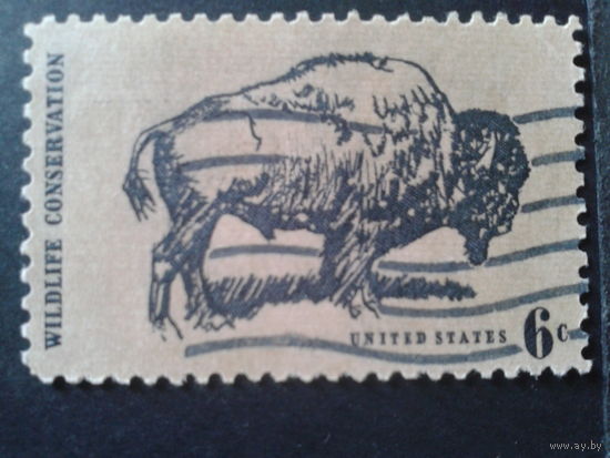 США 1970 бизон