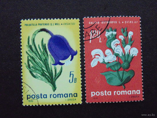 Румыния 1970г.  Флора.