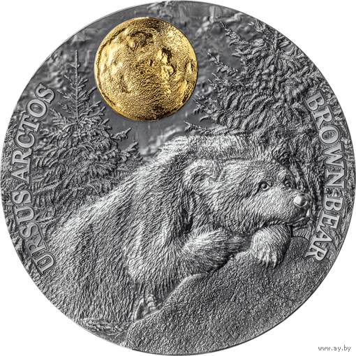 Ниуэ 5 долларов 2023г. "Бурый медведь". Монета в капсуле; деревянном подарочном футляре; сертификат; коробка. СЕРЕБРО 62,20гр.(2 oz).