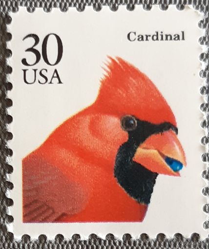 1991 Птицы. США