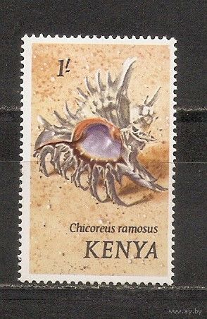 КГ Кения 1971 Ракушка
