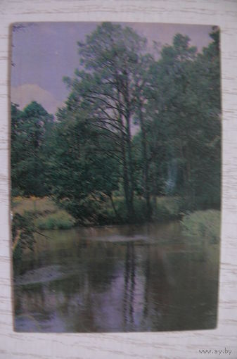 Календарик, 1989, Природа.