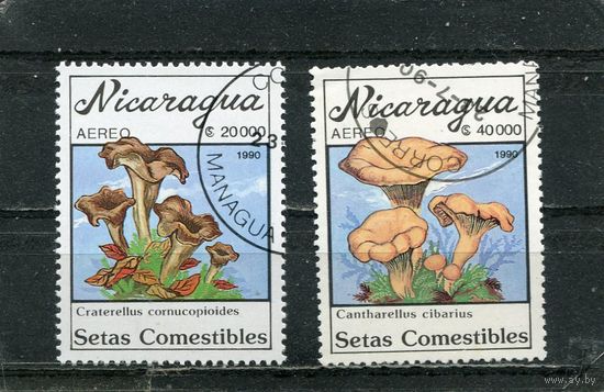 Никарагуа. Флора. Грибы