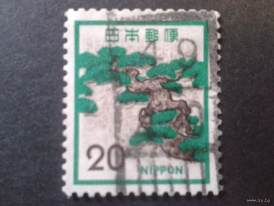 Япония 1972 стандарт, дерево
