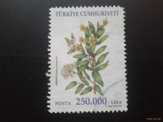 Турция 2001 цветы