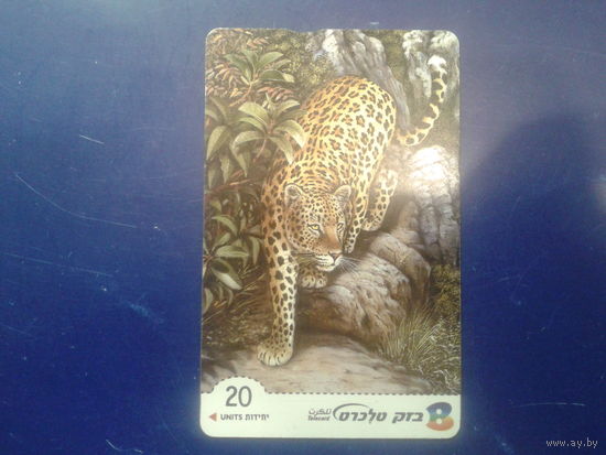 Израиль леопард
