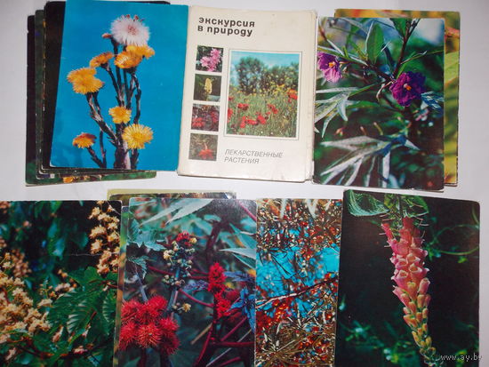 Набор открыток СССР, Экскурсия в природу