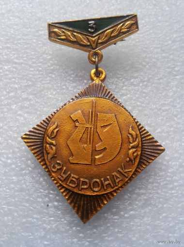 Медаль. Пионерский лагерь Зубренок. 3-е место #0356