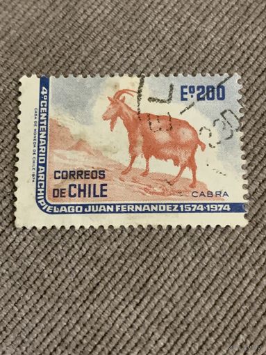 Чили 1984. Горный козел. Марка из серии