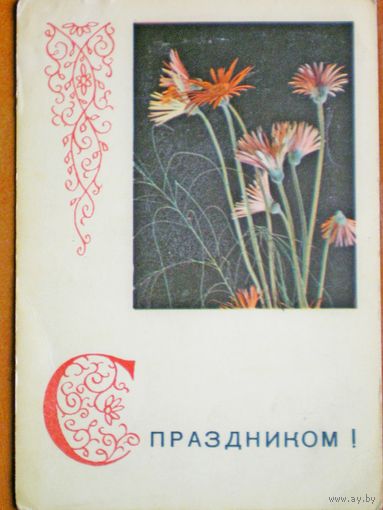 Пастушков  "с праздником "  чистая, 1968 г.