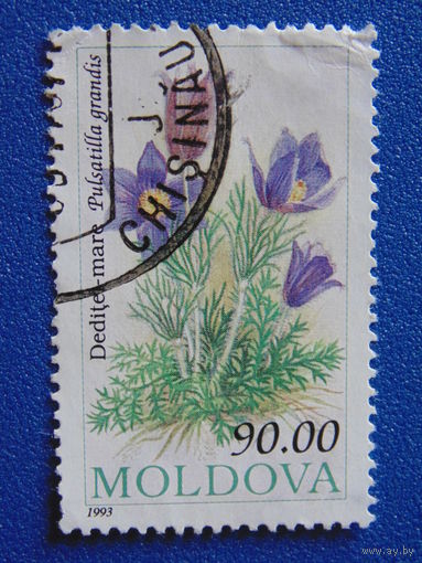 Молдавия 1993 г. Цветы.