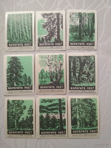 Спичечные этикетки ф. 1 Мая. Берегите лес!.1960 год