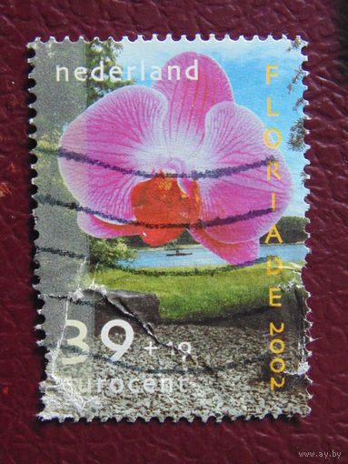Нидерланды 2002 г. Цветы.