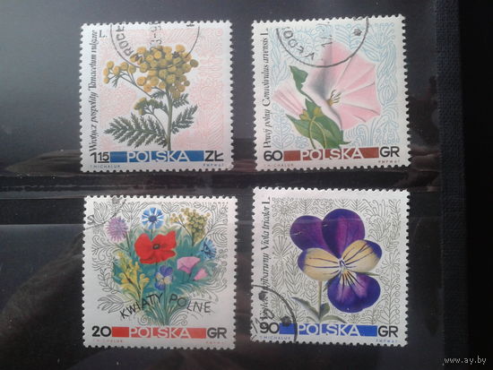 Польша 1967 Цветы